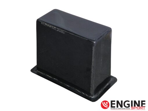 Coperchio Batteria Lancia DELTA in Carbonio